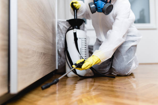 Best Best Pest Control Companies  in Walhalla, SC