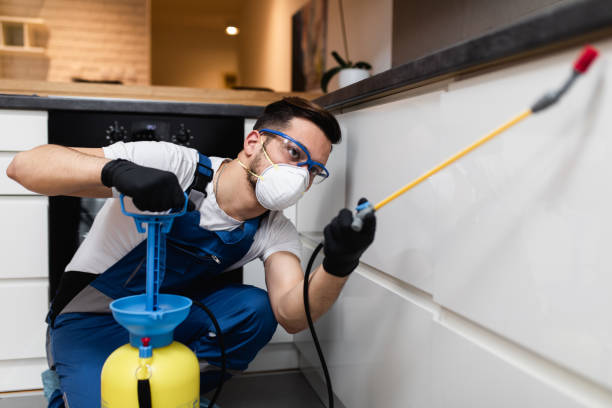 Best Pest Prevention Services  in Walhalla, SC