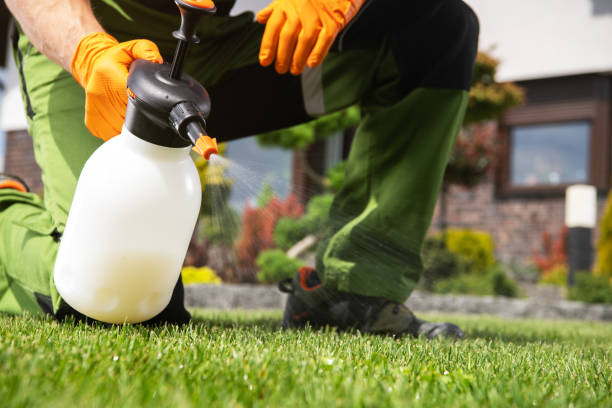 Best Emergency Pest Control  in Walhalla, SC