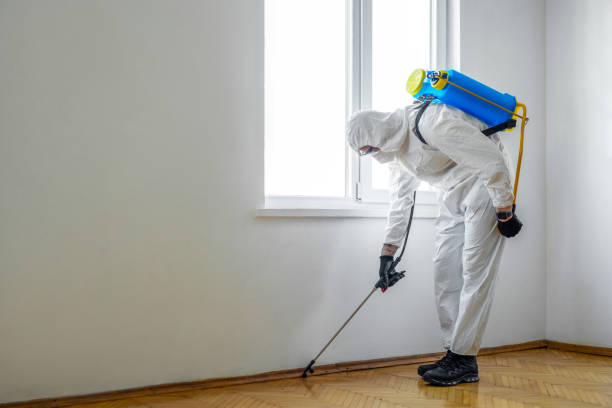 Best Exterminator Services  in Walhalla, SC