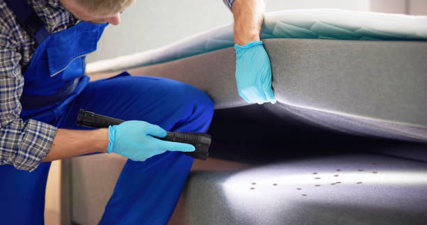 Best Affordable Pest Control Services  in Walhalla, SC