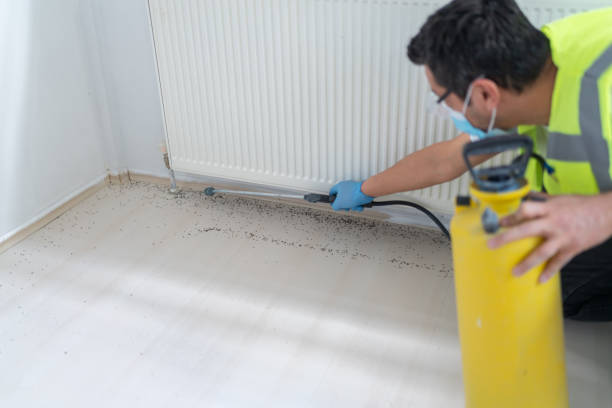 Best Affordable Pest Control Services  in Walhalla, SC