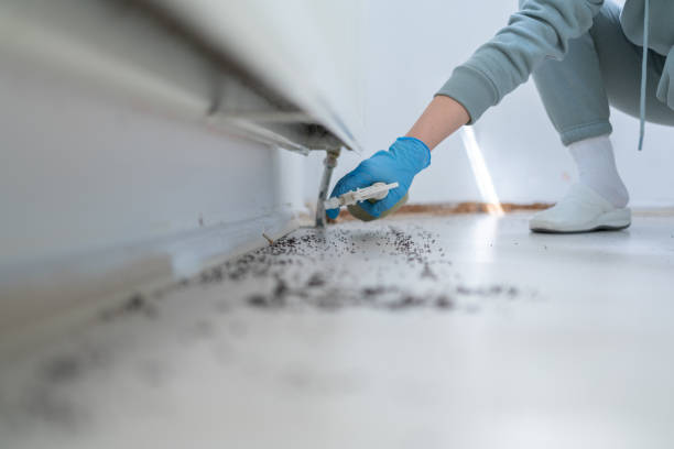 Best Pest Control for Businesses  in Walhalla, SC